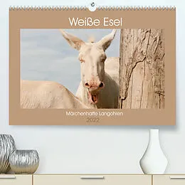 Kalender Weiße Esel - Märchenhafte Langohren (Premium, hochwertiger DIN A2 Wandkalender 2022, Kunstdruck in Hochglanz) von Meike Bölts