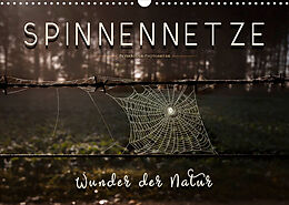 Kalender Spinnennetze - Wunder der Natur (Wandkalender 2022 DIN A3 quer) von Peter Roder