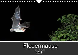 Kalender Fledermäuse - Jäger der Nacht (Wandkalender 2022 DIN A4 quer) von Otto Schäfer