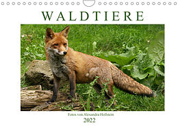 Kalender Waldtiere (Wandkalender 2022 DIN A4 quer) von Alexandra Hollstein