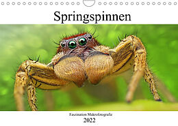 Kalender Faszination Makrofotografie: Springspinnen (Wandkalender 2022 DIN A4 quer) von Alexander Mett Photography