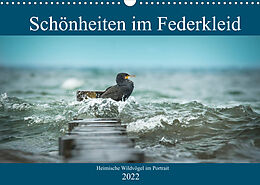 Kalender Schönheiten im Federkleid - Heimische Wildvögel im Portrait (Wandkalender 2022 DIN A3 quer) von Sabine Grahneis