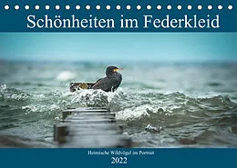 Kalender Schönheiten im Federkleid - Heimische Wildvögel im Portrait (Tischkalender 2022 DIN A5 quer) von Sabine Grahneis
