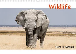 Kalender Wildlife - Tiere in Namibia (Wandkalender 2022 DIN A3 quer) von Matthias Kunert