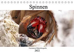 Kalender Faszination Makrofotografie: Spinnen (Tischkalender 2022 DIN A5 quer) von Alexander Mett Photography