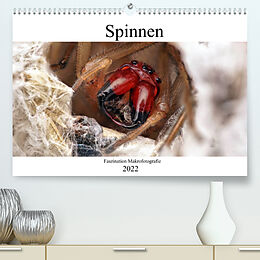 Kalender Faszination Makrofotografie: Spinnen (Premium, hochwertiger DIN A2 Wandkalender 2022, Kunstdruck in Hochglanz) von Alexander Mett Photography