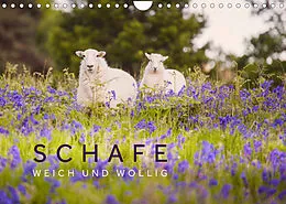 Kalender Schafe - Weich und wollig (Wandkalender 2022 DIN A4 quer) von Lain Jackson