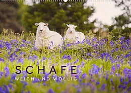 Kalender Schafe - Weich und wollig (Wandkalender 2022 DIN A2 quer) von Lain Jackson