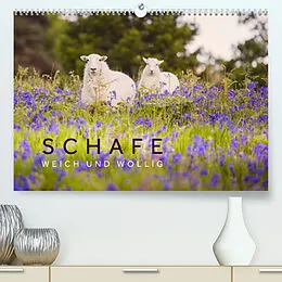 Kalender Schafe - Weich und wollig (Premium, hochwertiger DIN A2 Wandkalender 2022, Kunstdruck in Hochglanz) von Lain Jackson