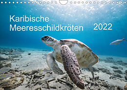 Kalender Karibische Meeresschildkröten (Wandkalender 2022 DIN A4 quer) von Yvonne &amp; Tilo Kühnast - naturepics