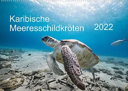 Kalender Karibische Meeresschildkröten (Wandkalender 2022 DIN A2 quer) von Yvonne & Tilo Kühnast - naturepics