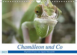Kalender Chamäleon und Co (Wandkalender 2022 DIN A4 quer) von Agata Muszalski