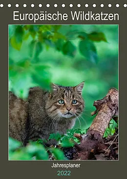 Kalender Europäische Wildkatzen - Jahresplaner (Tischkalender 2022 DIN A5 hoch) von Janita Webeler