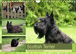 Kalender Scottish Terrier - Charmantes Rauhbein (Wandkalender 2022 DIN A4 quer) von Birgit Bodsch