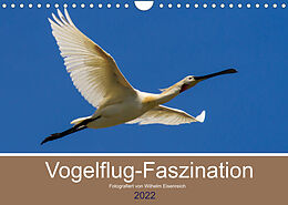 Kalender Vogelflug-Faszination (Wandkalender 2022 DIN A4 quer) von Wilhelm Eisenreich