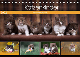 Kalender Katzenkinder - Britisch Kurzhaar (Tischkalender 2022 DIN A5 quer) von Wabi Sabi Fotografie by Janina Bürger