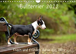 Kalender Bullterrier 2022 Frech und fröhlich durch das Jahr (Wandkalender 2022 DIN A4 quer) von Yvonne Janetzek
