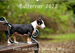 Kalender Bullterrier 2022 Frech und fröhlich durch das Jahr (Wandkalender 2022 DIN A2 quer) von Yvonne Janetzek