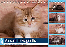Kalender Verspielte Ragdolls - Sanfte Katzen in seidigem Haarkleid (Tischkalender 2022 DIN A5 quer) von Fotodesign Verena Scholze
