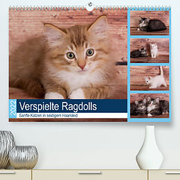 Kalender Sanfte Katzen in seidigem Haarkleid (Premium, hochwertiger DIN A2 Wandkalender 2022, Kunstdruck in Hochglanz) von Fotodesign Verena Scholze