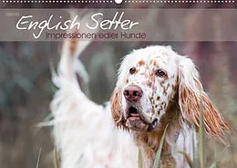 Kalender English Setter  Impressionen edler Hunde (Wandkalender 2022 DIN A2 quer) von VISOVIO