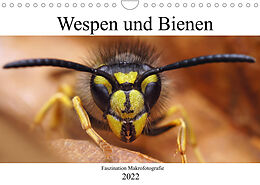 Kalender Faszination Makrofotografie: Wespen und Bienen (Wandkalender 2022 DIN A4 quer) von Alexander Mett Photography