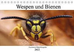 Kalender Faszination Makrofotografie: Wespen und Bienen (Tischkalender 2022 DIN A5 quer) von Alexander Mett Photography