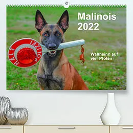 Kalender Malinois - Wahnsinn auf vier Pfoten (Premium, hochwertiger DIN A2 Wandkalender 2022, Kunstdruck in Hochglanz) von Alexander Trocha