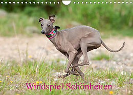Kalender Windspiel Schönheiten (Wandkalender 2022 DIN A4 quer) von Angelika Joswig