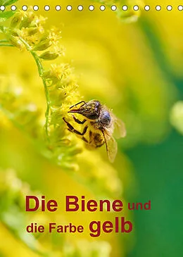 Kalender Die Biene und die Farbe gelb (Tischkalender 2022 DIN A5 hoch) von Mark Bangert