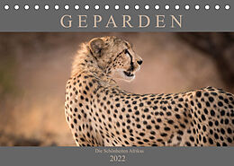 Kalender Geparden - Die Schönheiten Afrikas (Tischkalender 2022 DIN A5 quer) von Markus Pavlowsky