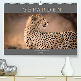 Kalender Geparden - Die Schönheiten Afrikas (Premium, hochwertiger DIN A2 Wandkalender 2022, Kunstdruck in Hochglanz) von Markus Pavlowsky