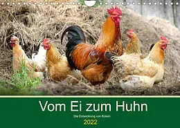 Kalender Vom Ei zum Huhn. Die Entwicklung von Küken (Wandkalender 2022 DIN A4 quer) von Rose Hurley