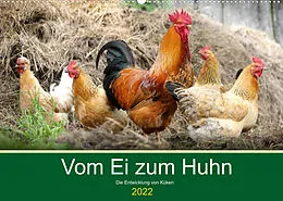 Kalender Vom Ei zum Huhn. Die Entwicklung von Küken (Wandkalender 2022 DIN A2 quer) von Rose Hurley