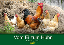 Kalender Vom Ei zum Huhn. Die Entwicklung von Küken (Tischkalender 2022 DIN A5 quer) von Rose Hurley