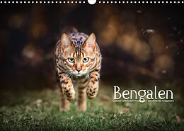 Kalender Bengalen Outdoor und Action (Wandkalender 2022 DIN A3 quer) von Andreas Krappweis