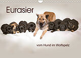 Kalender Eurasier, der Hund im Wolfspelz (Wandkalender 2022 DIN A4 quer) von Peter Überall