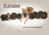 Kalender Eurasier, der Hund im Wolfspelz (Tischkalender 2022 DIN A5 quer) von Peter Überall