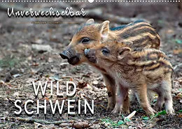 Kalender Unverwechselbar - Wildschwein (Wandkalender 2022 DIN A2 quer) von Peter Roder