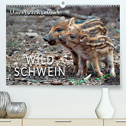 Kalender Unverwechselbar - Wildschwein (Premium, hochwertiger DIN A2 Wandkalender 2022, Kunstdruck in Hochglanz) von Peter Roder