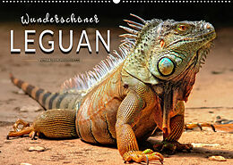 Kalender Wunderschöner Leguan (Wandkalender 2022 DIN A2 quer) von Peter Roder