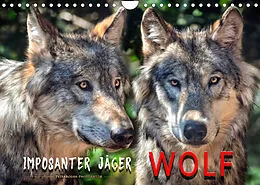 Kalender Wolf - Imposanter Jäger (Wandkalender 2022 DIN A4 quer) von Peter Roder