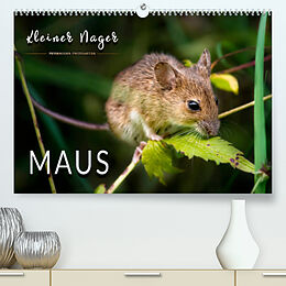 Kalender Kleiner Nager - Maus (Premium, hochwertiger DIN A2 Wandkalender 2022, Kunstdruck in Hochglanz) von Peter Roder