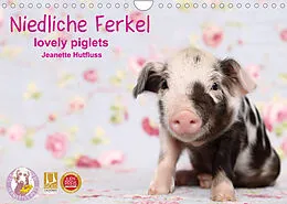 Kalender Niedliche Ferkel lovely piglets 2022 (Wandkalender 2022 DIN A4 quer) von Jeanette Hutfluss