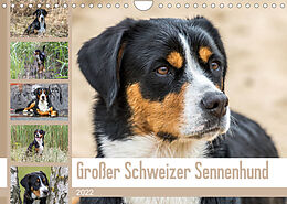 Kalender Großer Schweizer Sennenhund (Wandkalender 2022 DIN A4 quer) von SchnelleWelten