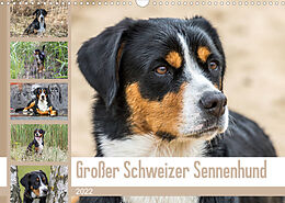 Kalender Großer Schweizer Sennenhund (Wandkalender 2022 DIN A3 quer) von SchnelleWelten