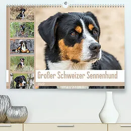 Kalender Großer Schweizer Sennenhund (Premium, hochwertiger DIN A2 Wandkalender 2022, Kunstdruck in Hochglanz) von SchnelleWelten