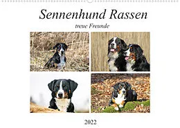 Kalender Sennenhund Rassen (Wandkalender 2022 DIN A2 quer) von SchnelleWelten
