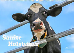 Kalender Sanfte Holsteiner (Wandkalender 2022 DIN A2 quer) von Jana JF Führer