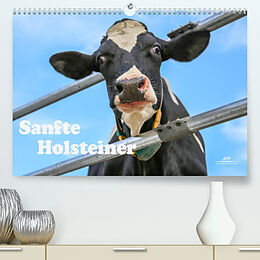 Kalender Sanfte Holsteiner (Premium, hochwertiger DIN A2 Wandkalender 2022, Kunstdruck in Hochglanz) von Jana JF Führer